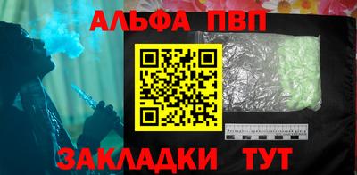 бошки Кингисепп