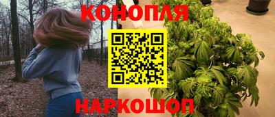 бошки Кингисепп