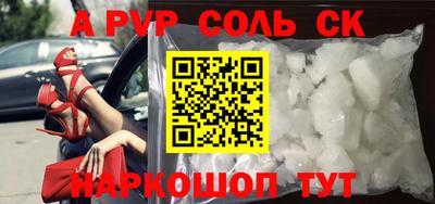 бошки Кингисепп