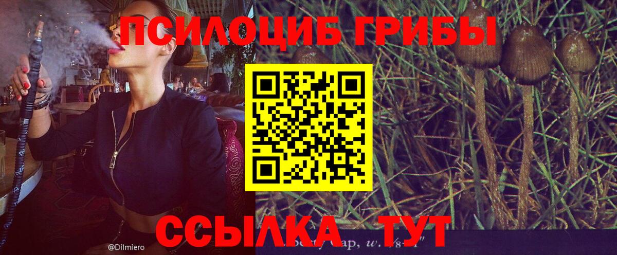 Галлюциногенные грибы мицелий  Вход с VPN  Псилоцибиновые грибы мухоморы  Щёкино 